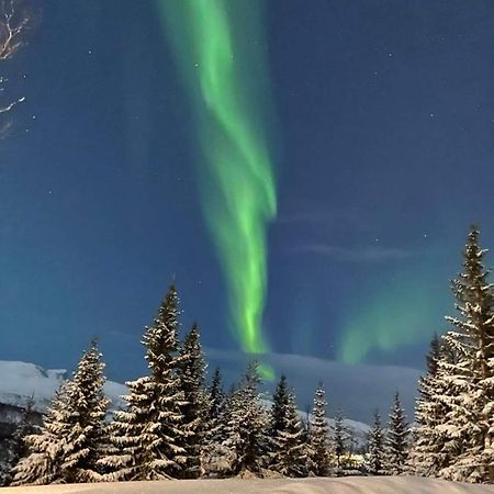 Small Cozy Apartment Tromsø Dış mekan fotoğraf